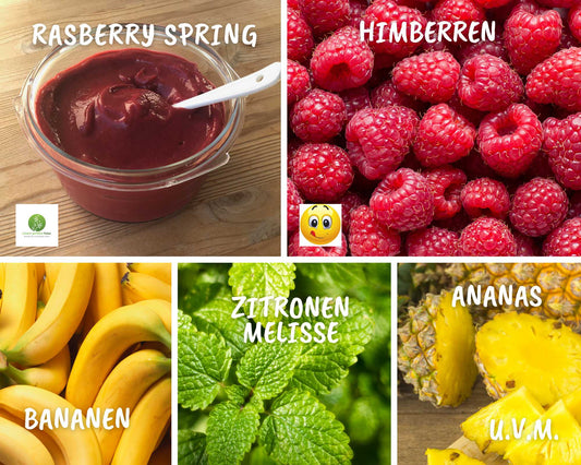 Rezept Rasberry Spring Smoothie - roh-vegan